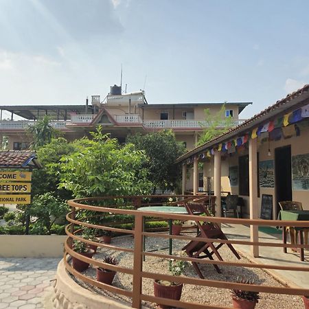 Hotel Tree Tops Sauraha Exteriér fotografie