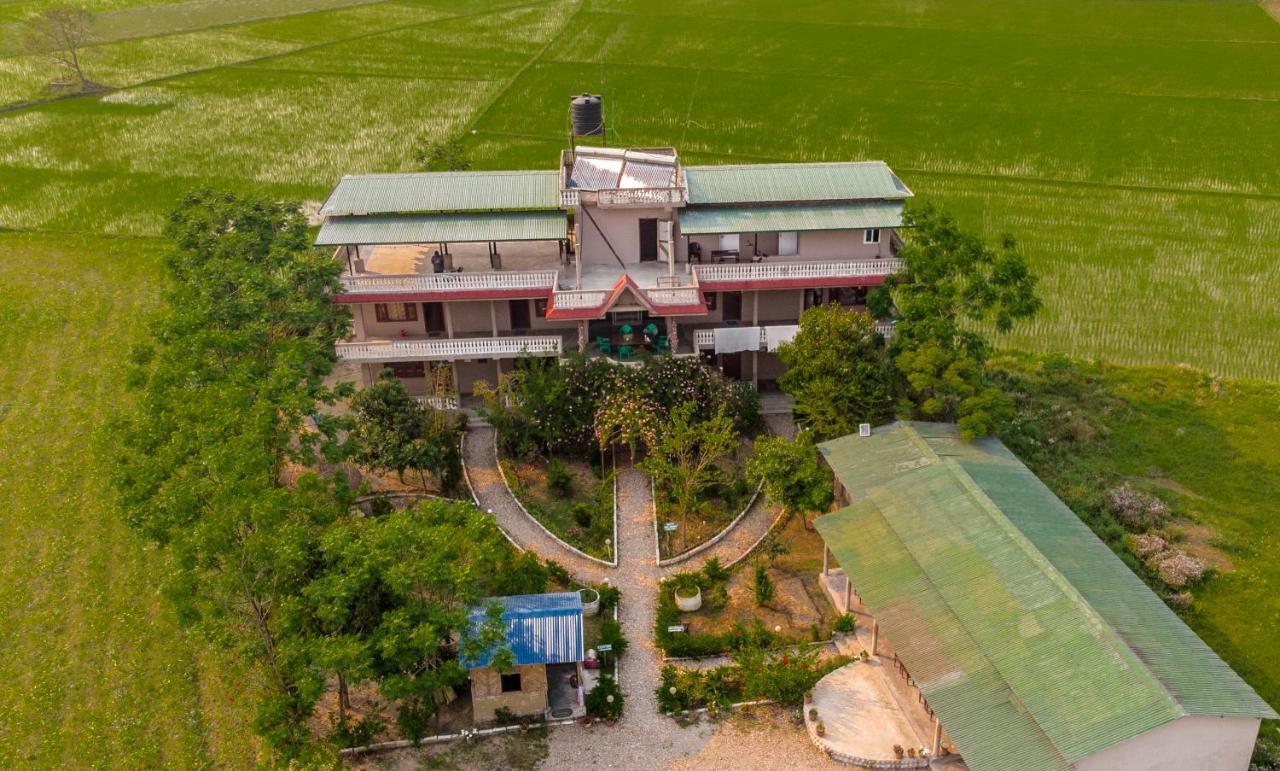 Hotel Tree Tops Sauraha Exteriér fotografie