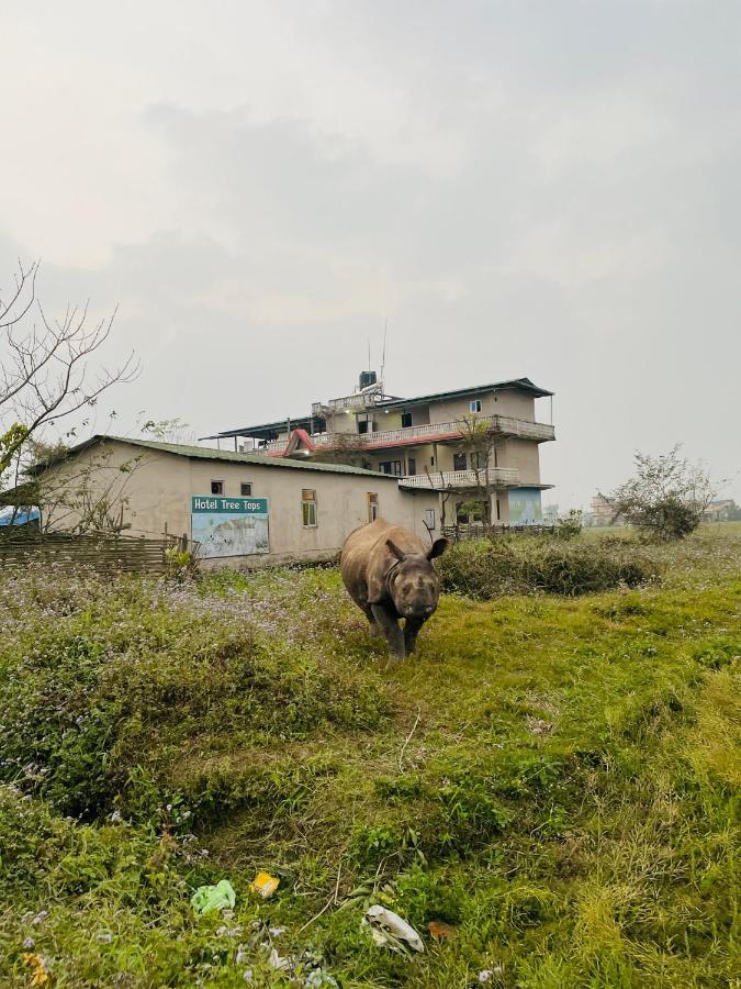 Hotel Tree Tops Sauraha Exteriér fotografie