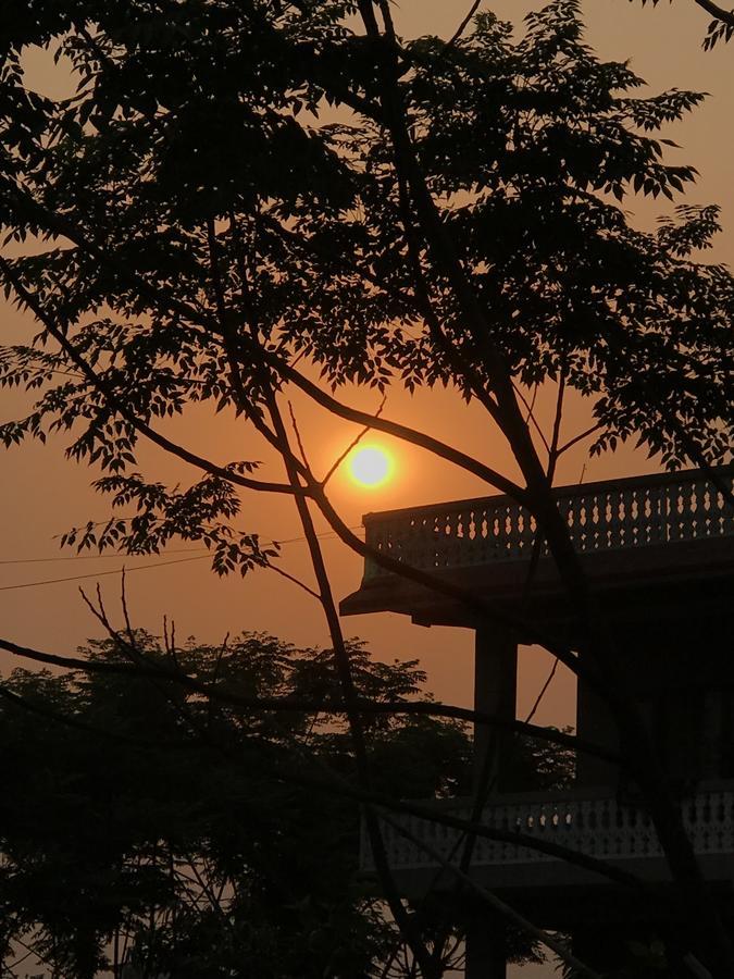 Hotel Tree Tops Sauraha Exteriér fotografie